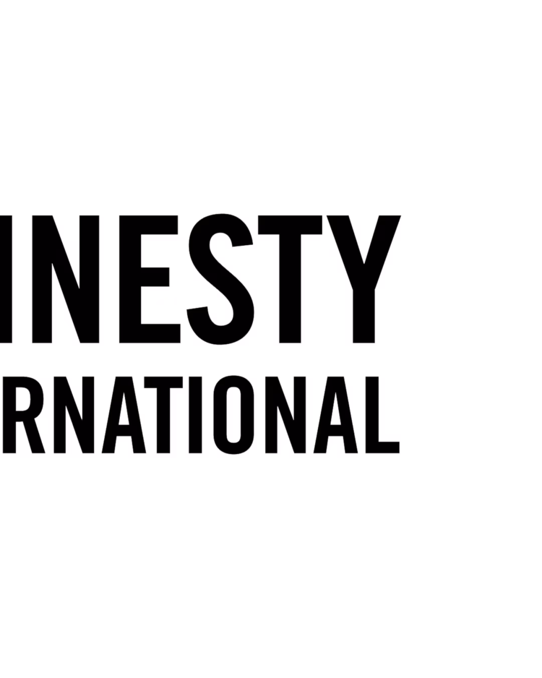 AMNESTY INTERNATIONAL