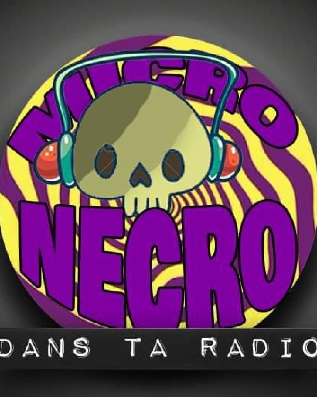 LaMicroNecrodanstaradio_logo_micro_ncro_20241011144318_20250522092727