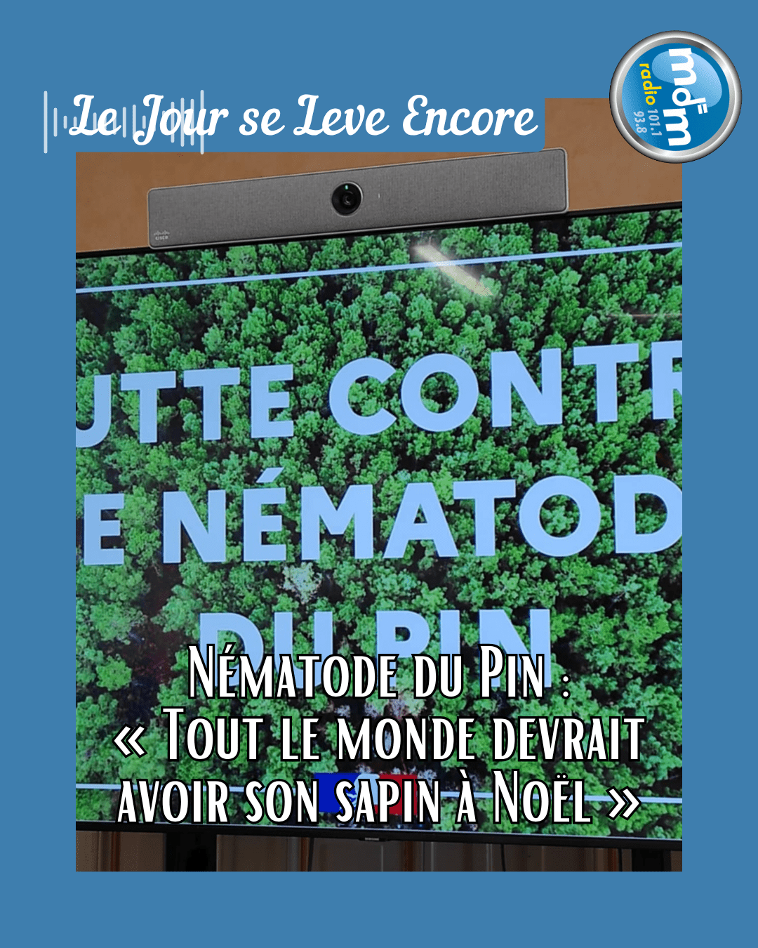 Le Jour se Lève Encore 2025-11-17 - Nématode du Pin « Tout le monde devrait avoir son sapin à Noël »