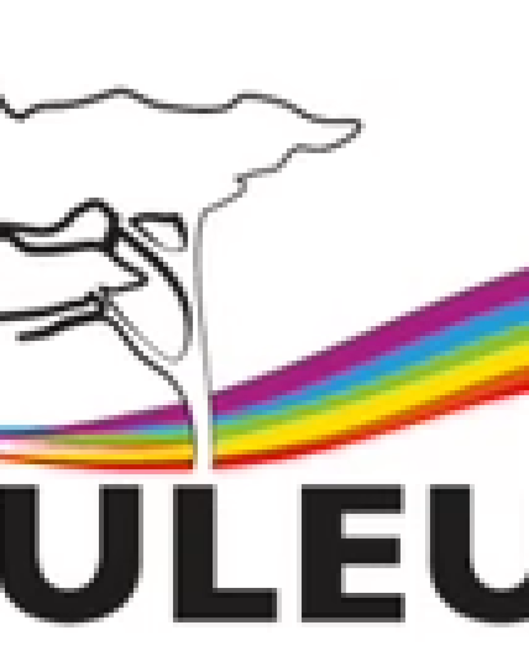 NOS COULEURS