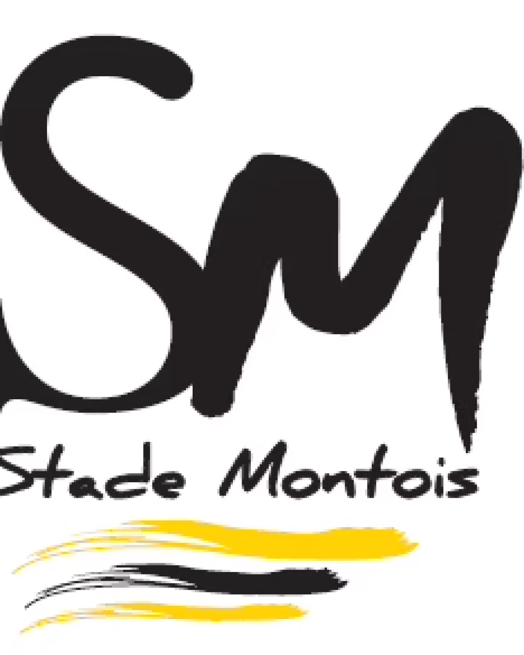 STADE MONTOIS