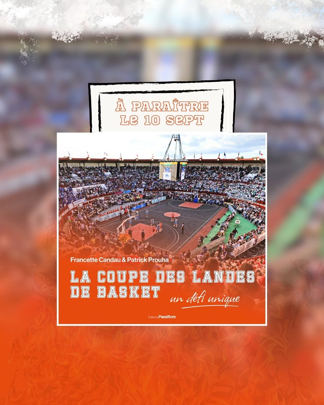 coupe de slandes de basket