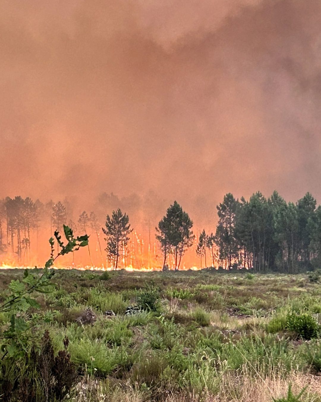 Crédit Photo : Sapeurs Pompiers des Landes Facebook